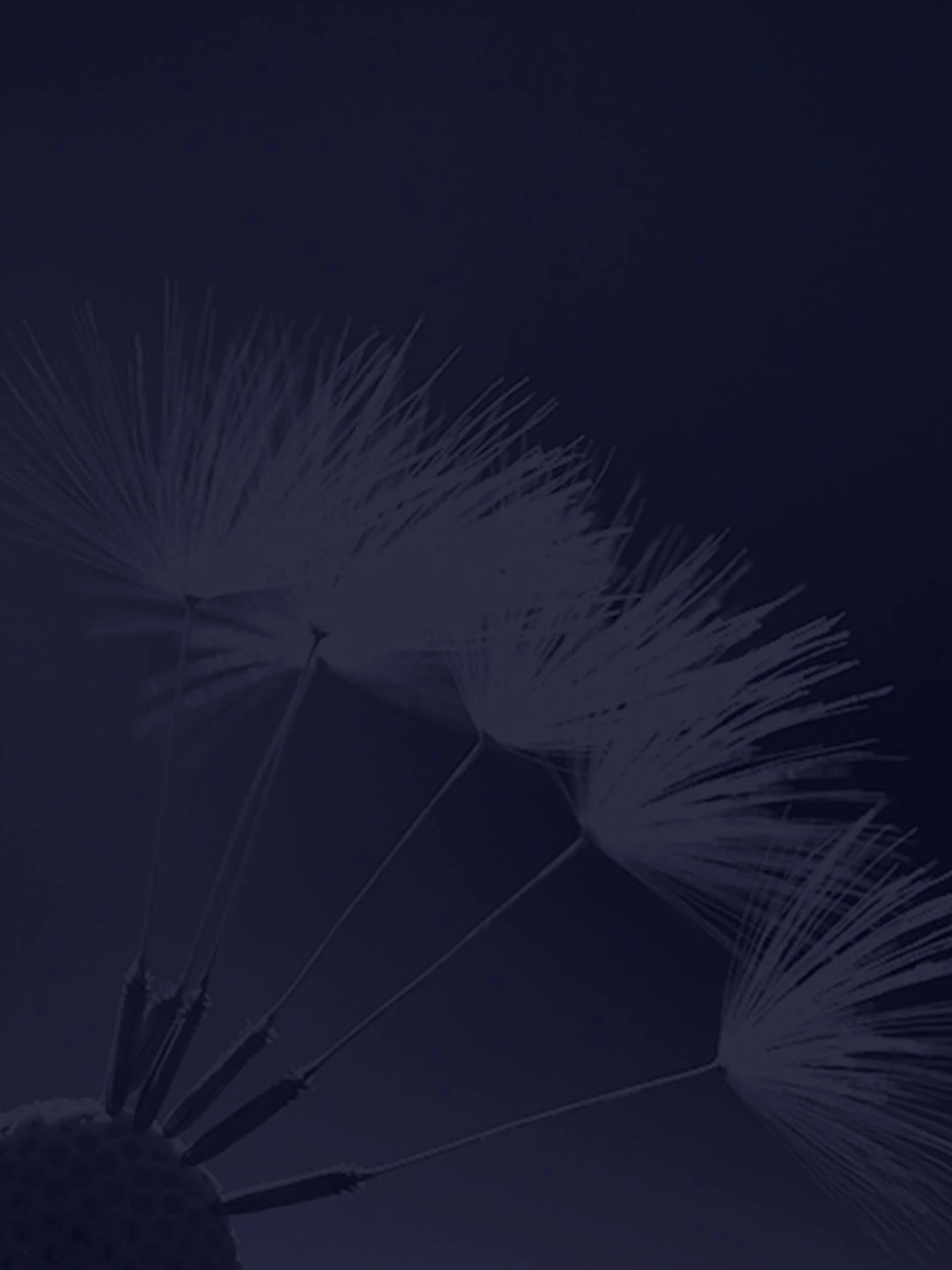 Omega-hypersensibilite