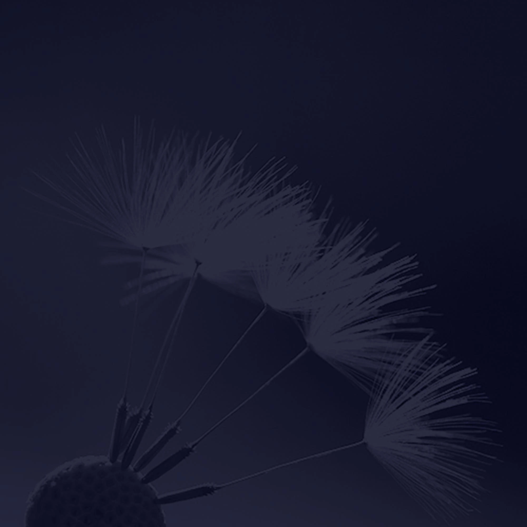 Omega-hypersensibilite