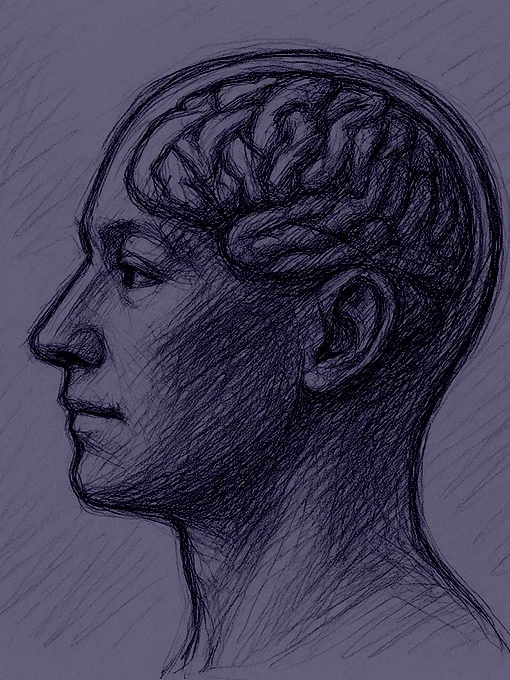 Omega-neurobiologie-01