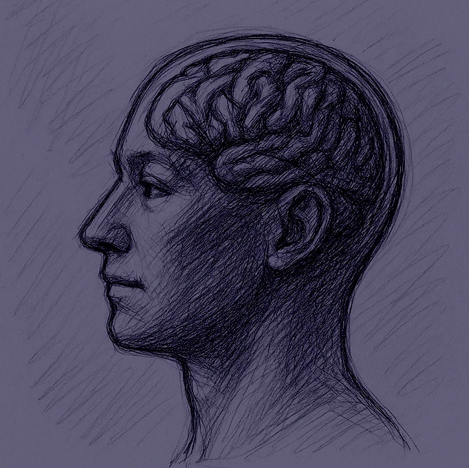 Omega-neurobiologie-01